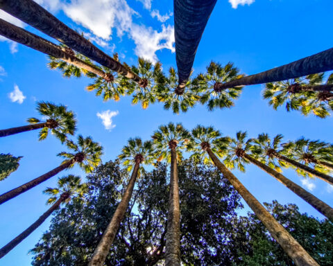 0275dd69a2730a9eeb999114946147f2 L