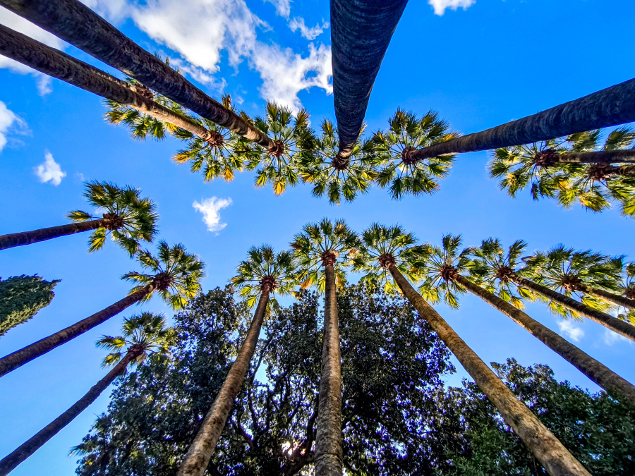 0275dd69a2730a9eeb999114946147f2 L