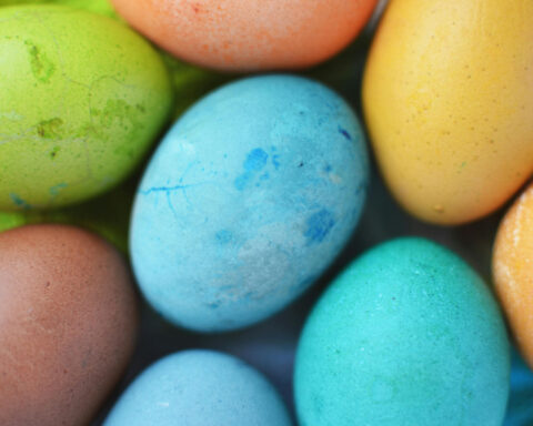 06171d379028b87905a34bb67e355687 L