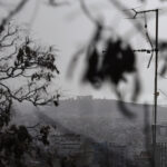 0c3d330d03e8a8059551624d76202df6 L