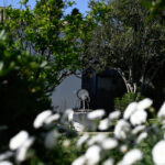 0e05b67b6476b133d2ad1814689c1ec6 L