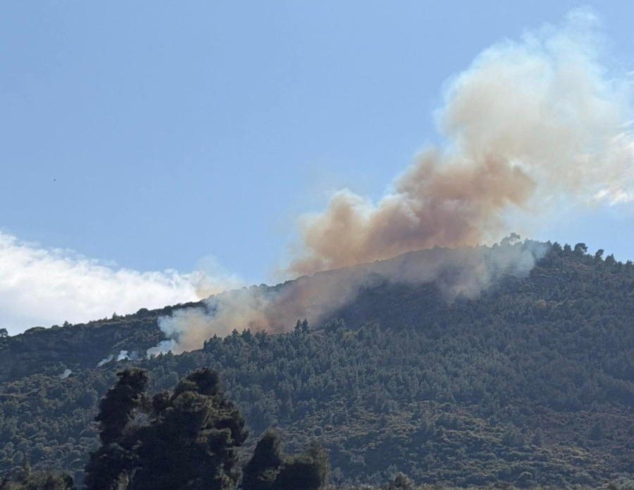 0ee1cf84554c87d39e707bc7de98e17d L