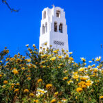 15f3dbae66948073cfcc49ea72705083 L