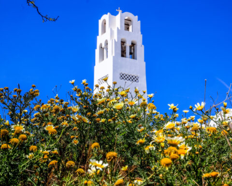 15f3dbae66948073cfcc49ea72705083 L