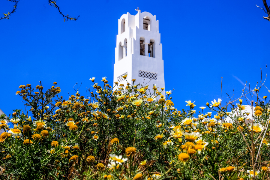 15f3dbae66948073cfcc49ea72705083 L