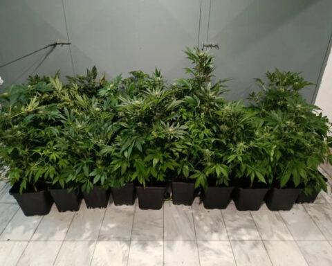 167aaf3d5e292bba1bee180acdde3c2a L