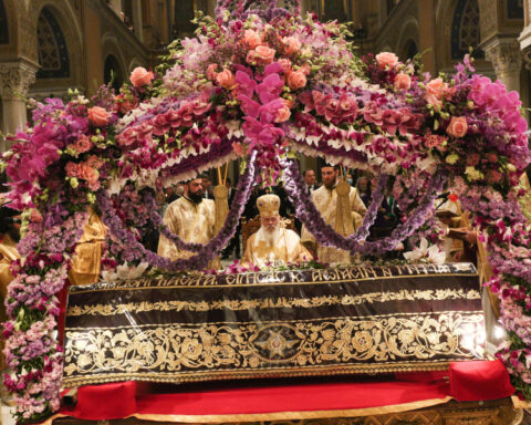 20586490501fd92a1eaea18f32b080c6 L