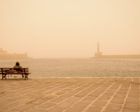 207566f09339cf407414071e721fba26 L