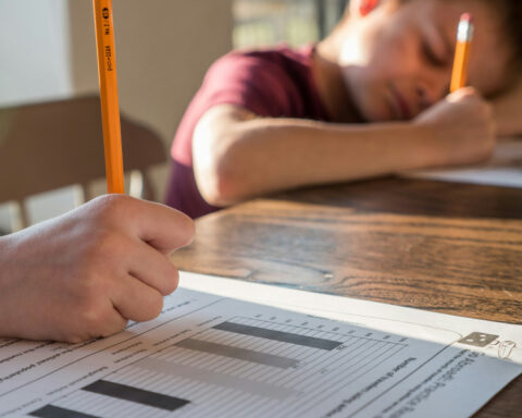 219a4eb81ca9b3c8783fa668cc808d71 L