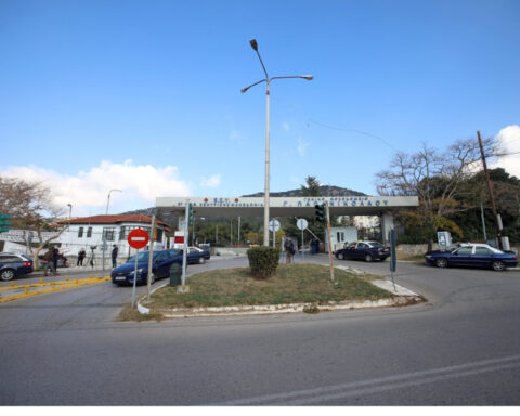 221b5bfe1ebcdbcc5a6f5772c3b5da66 L