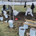 3104311001deafc0121bbb2000262bb0 L