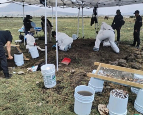 3104311001deafc0121bbb2000262bb0 L