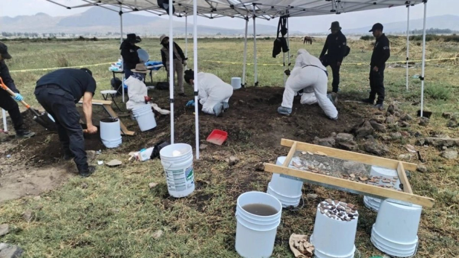 3104311001deafc0121bbb2000262bb0 L