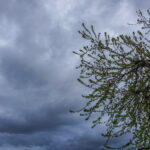 34ca5afdb81131358aeff2c94b4797c0 L