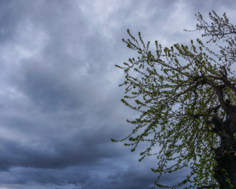 34ca5afdb81131358aeff2c94b4797c0 L