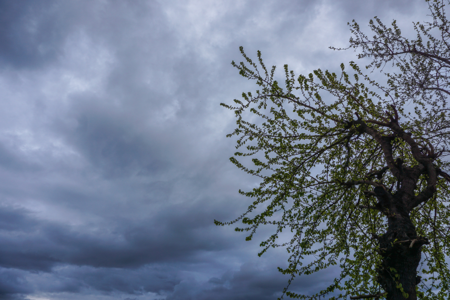 34ca5afdb81131358aeff2c94b4797c0 L