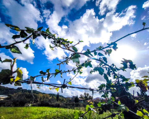 3f48e788495050180edba0a5b27fac46 L