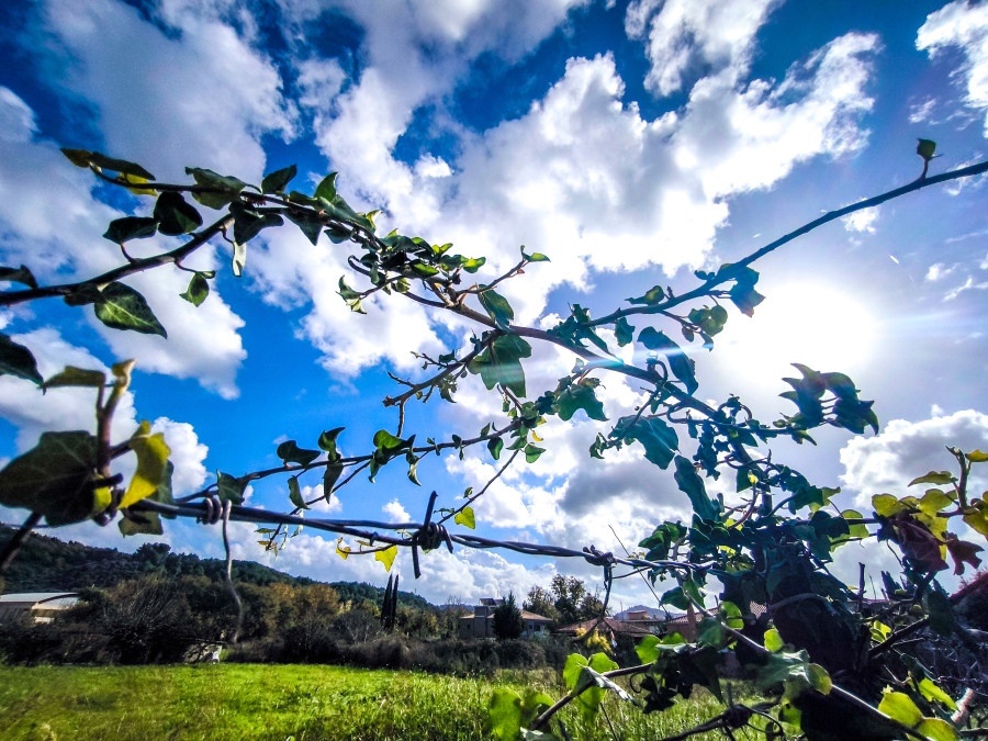 3f48e788495050180edba0a5b27fac46 L