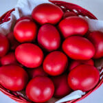 497846dc88f50beeba6ca771681c34b5 L