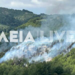 4cdc31899383edfb710f025f00658740 L