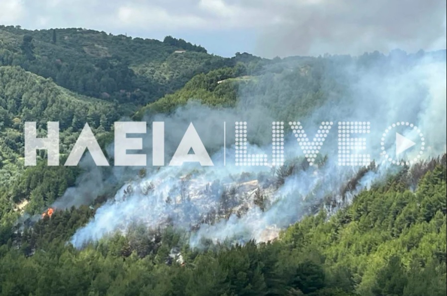 4cdc31899383edfb710f025f00658740 L