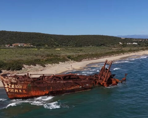 5196b33e78271d02ca3127e69b7e9345 L