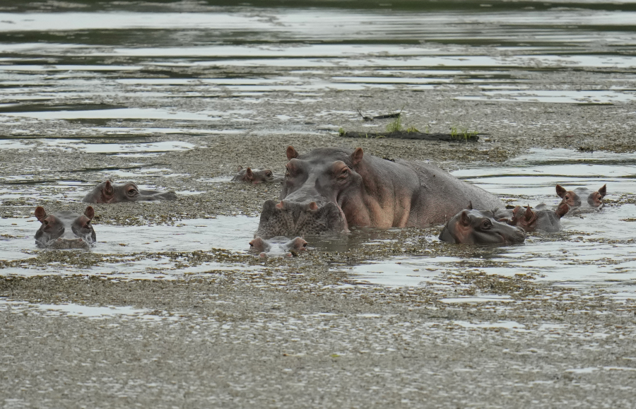 5ab17b0927555fba9cded3e05a22026c L