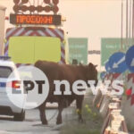 5b153073a786632b01662809394c18af L