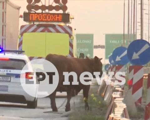 5b153073a786632b01662809394c18af L