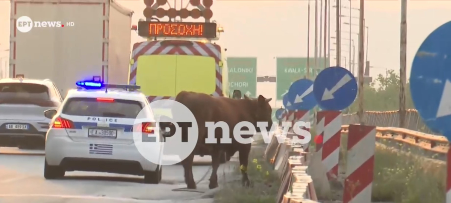 5b153073a786632b01662809394c18af L