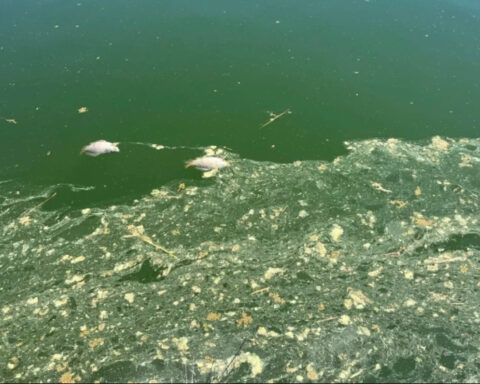 65fb5576d5d00431c98040b441753f51 L