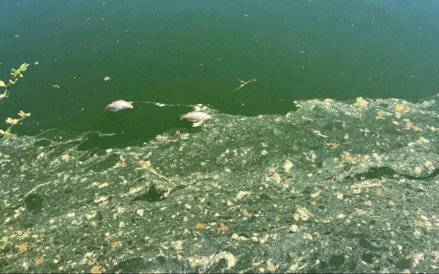 65fb5576d5d00431c98040b441753f51 L