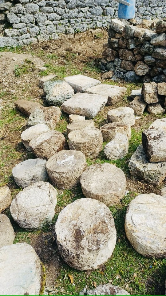 675562688 1446267430584608 3230081852147653204 n