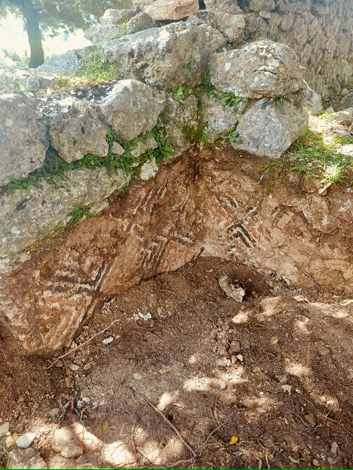 678346822 1445425044002180 6953374498766706586 n