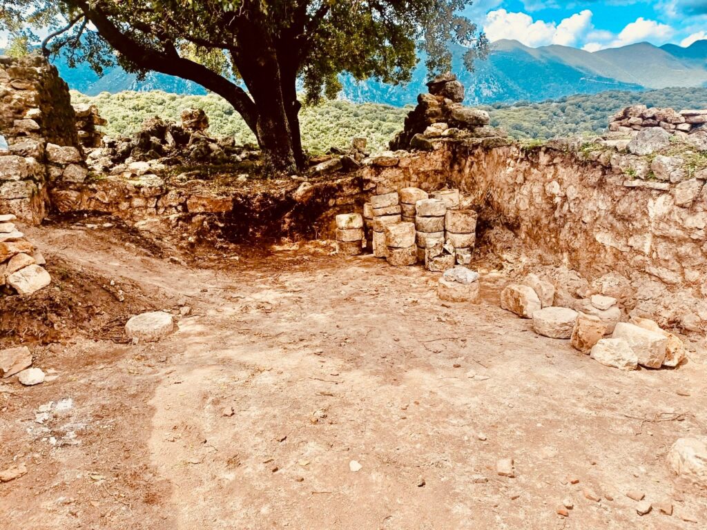 678925687 1447825723762112 2577044097473211075 n antigrafi