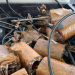 6899318fcc96de0799d036179d8b5248 L