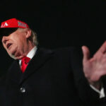 6ea2399e94bb1a4ae8fb8b91d298d6d9 L