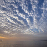 7b0e7a17c71ccee2759165b6882322a9 L