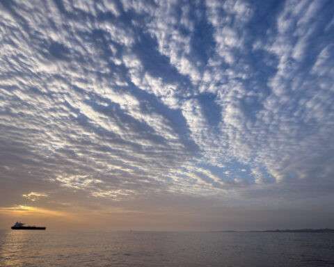 7b0e7a17c71ccee2759165b6882322a9 L