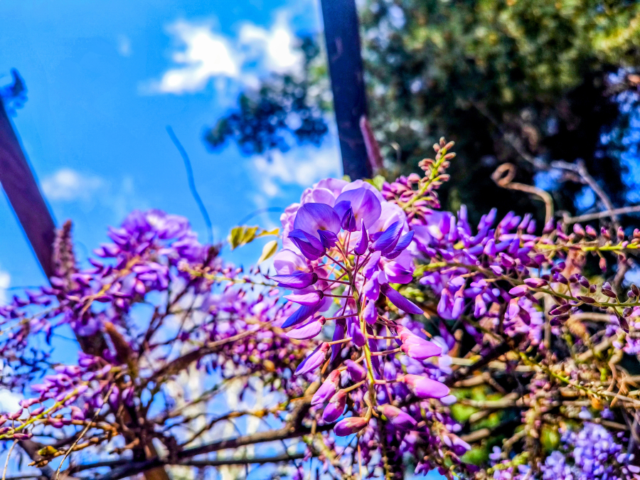 7b201ceb67ee93837f95bd9851c37586 L