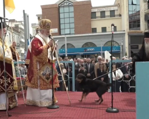 851e22ab6e256da8686d82221ea9987e L