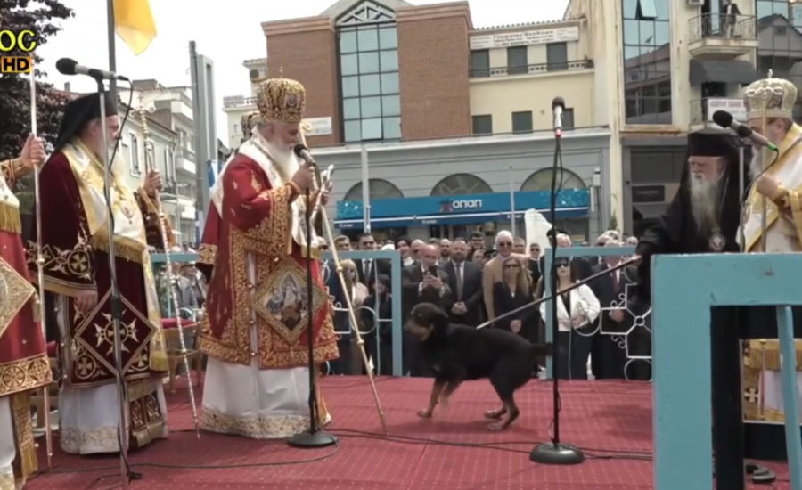 851e22ab6e256da8686d82221ea9987e L