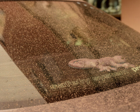 85abe13f50dfe0b324669483d32c42de L