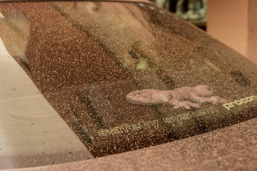 85abe13f50dfe0b324669483d32c42de L