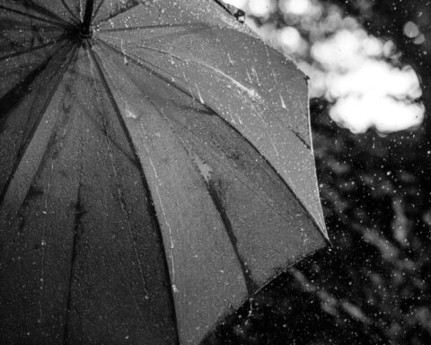 92d5a4ce7ebd2dccb342067e5429a26f L