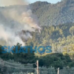 a7e3ef3cbe09ba6224d9a342a414325c L