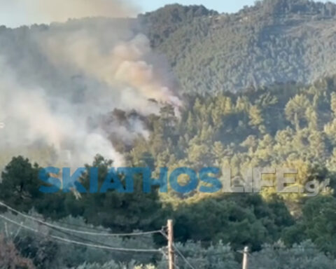 a7e3ef3cbe09ba6224d9a342a414325c L