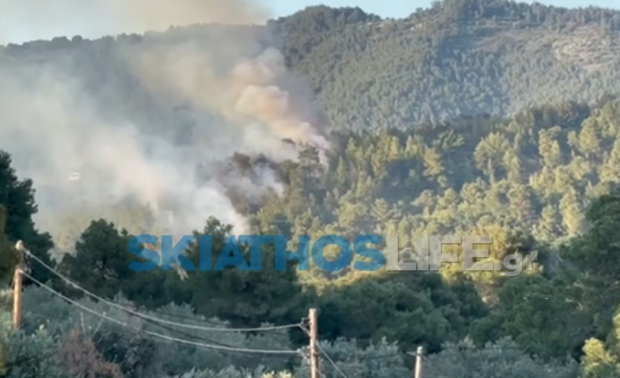 a7e3ef3cbe09ba6224d9a342a414325c L