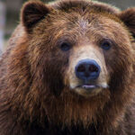 b6bfbbaa55c14a32dadb36ed5a9f8b86 L