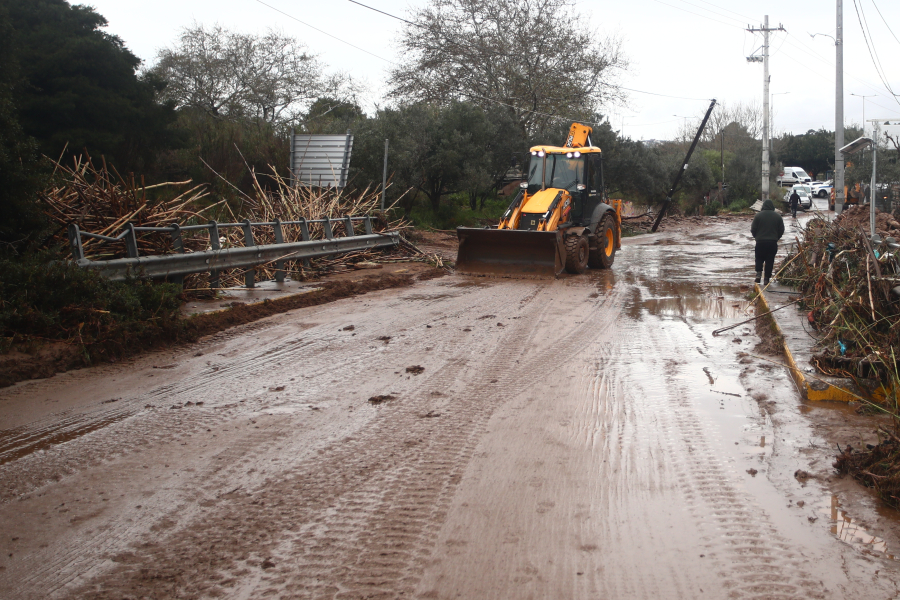 b7cf69281a38a3b5e37b79f59cba33d0 L